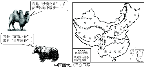 地方差异